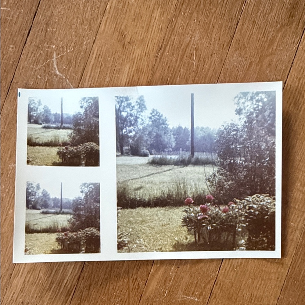 Vintage Photo Collection - Picture 7 of 11
